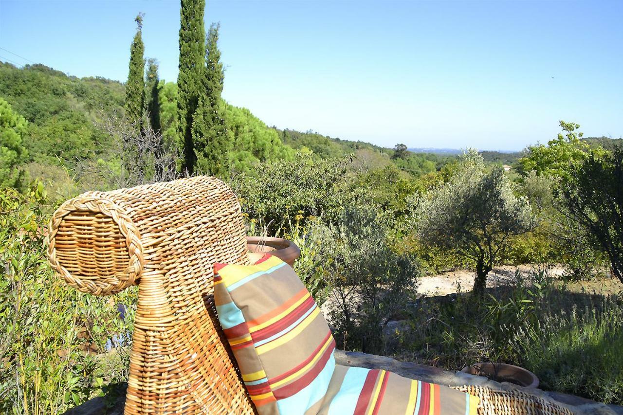 La Briardière Camélas Extérieur photo